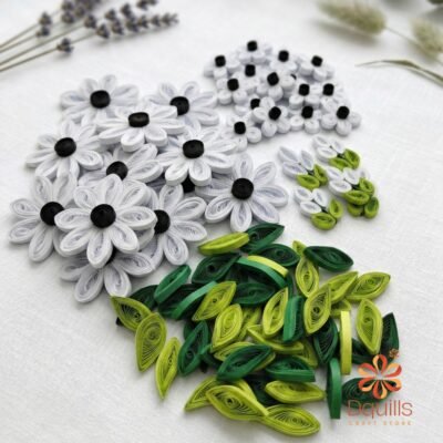 modern anemone collection