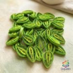 Graceful Green Paper Quilling Leaves – Botanical Art